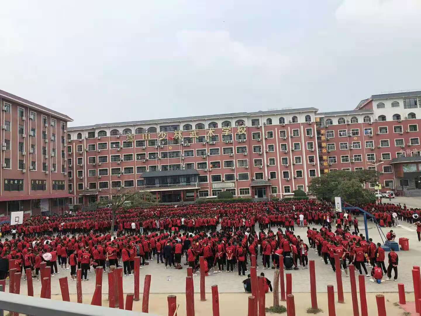 【少林武校招生网站】